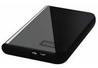 WD Passport - Disque dur - 320 Go - externe - 2.5' - Hi-Speed USB - 5400 tours/min - mémoire tampon : 2 Mo